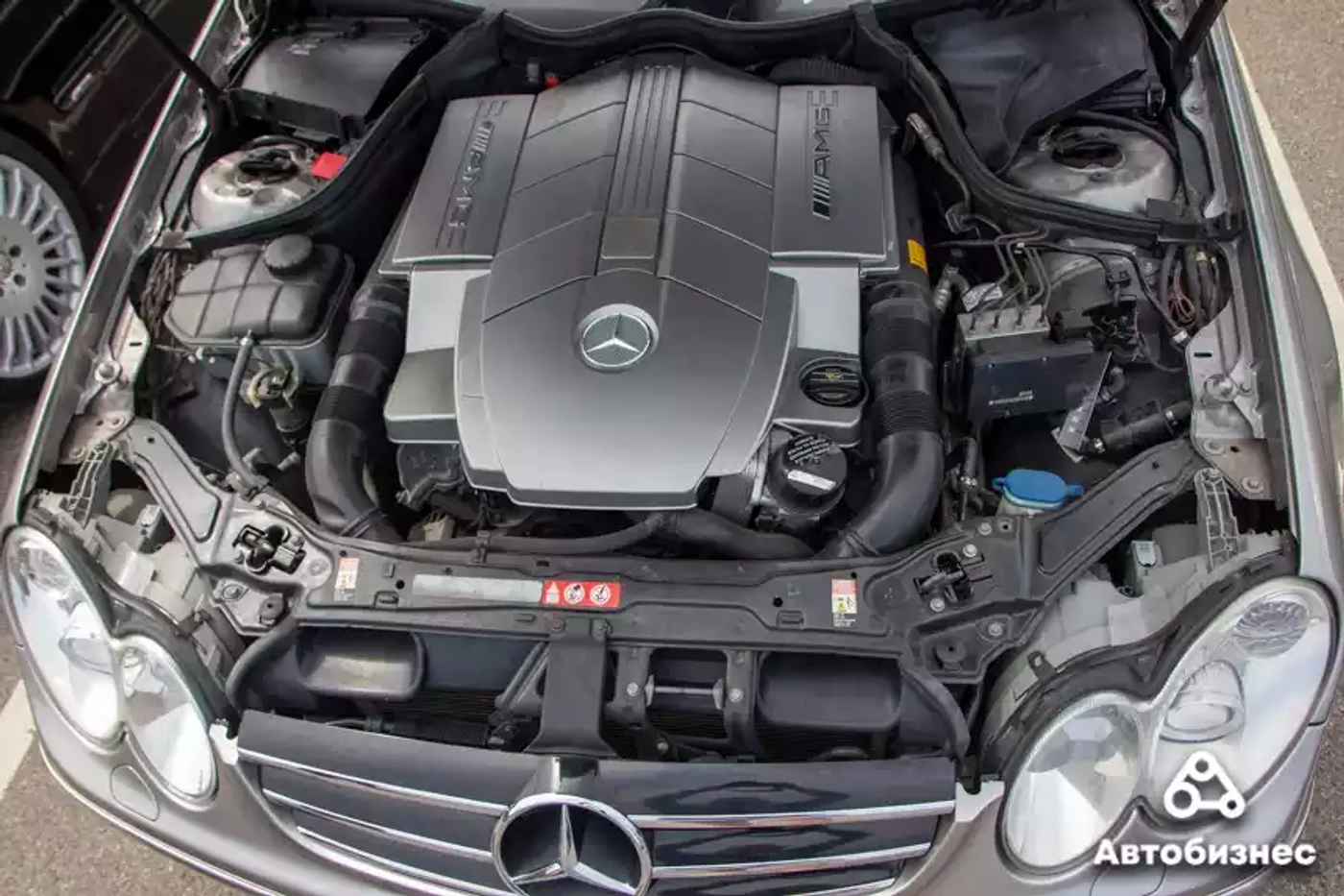 «Нет года выпуска, есть состояние». Владельцы старых Mercedes собрались на большую встречу