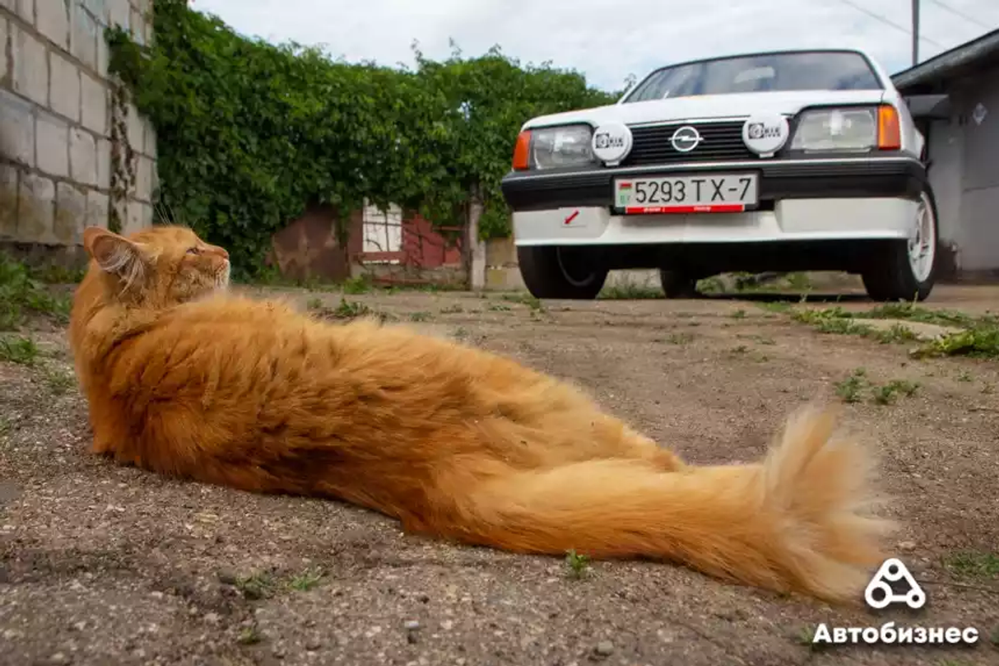 «Нонсенс, что здесь нет ржавчины». Изучаем идеальный 41-летний Opel Ascona