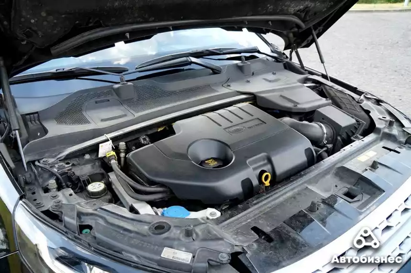 Лучше BMW? Тест-драйв подержанного Land Rover Discovery Sport