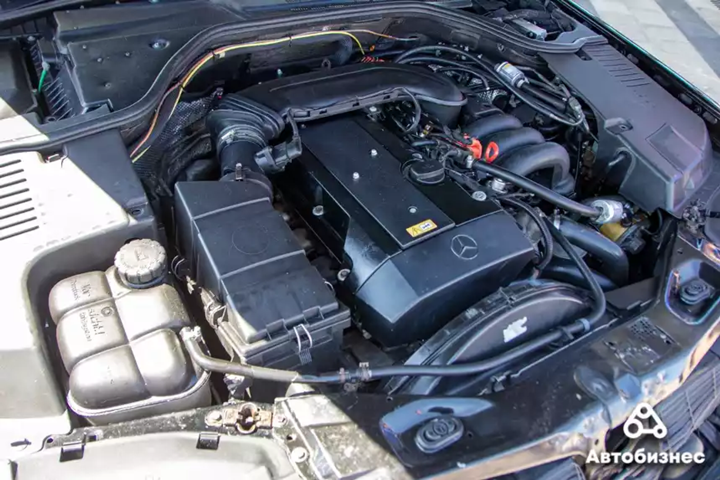 Яркие Volkswagen и плинтус для Tesla: репортаж с феста AutoCult