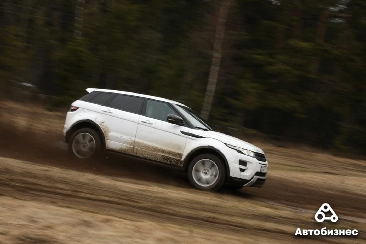 Range Rover Evoque: может быть надежным, главное – выбрать правильно