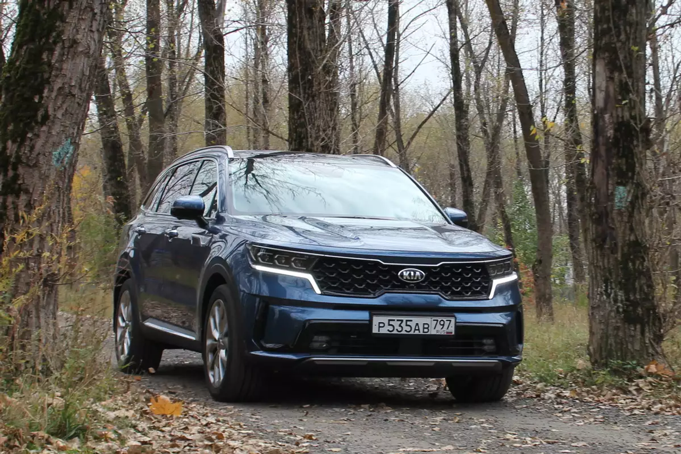 «Нежный» полный привод и другие жалобы владельцев Kia Sorento IV