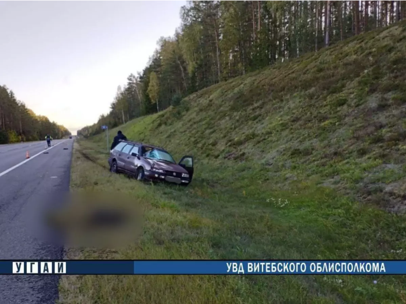 В Докшицком районе под колесами автомобиля погиб пешеход