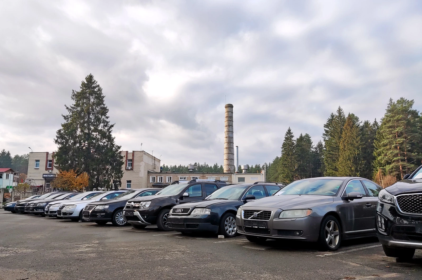 Вид имеют. Ищем достойные автомобили в «конфискате»