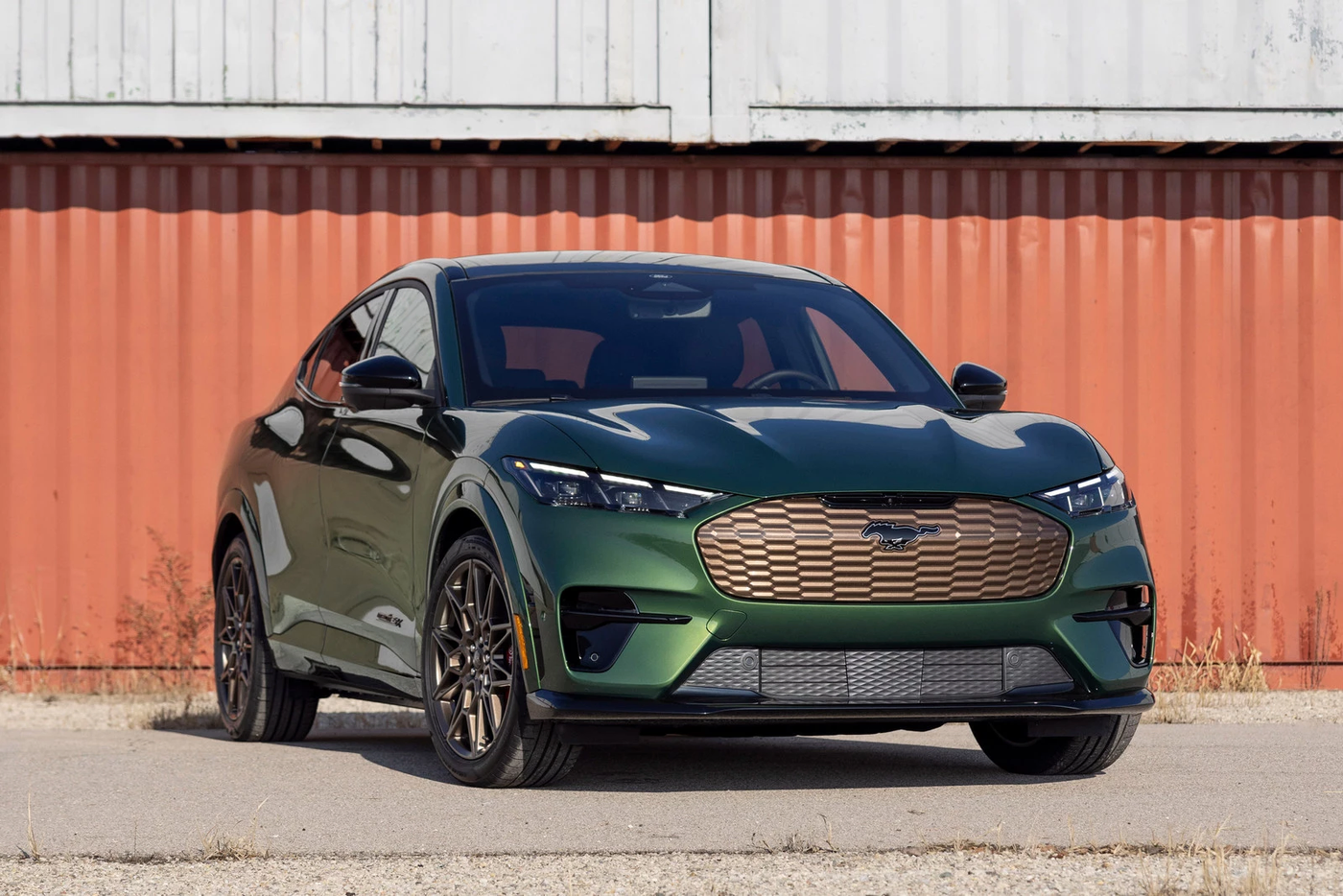Ford Mustang Mach-E GT приукрасили бронзой