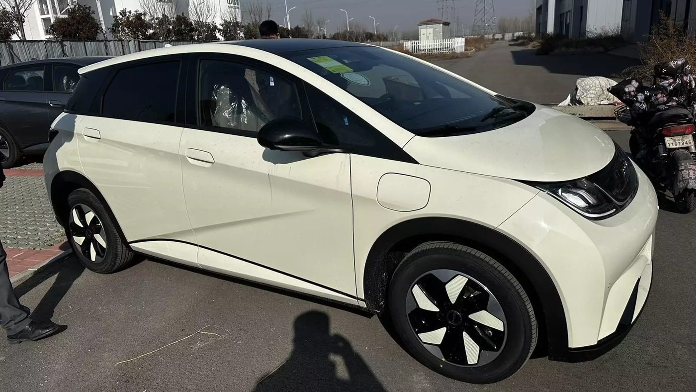 2024 BYD Dolphin Champion Edition