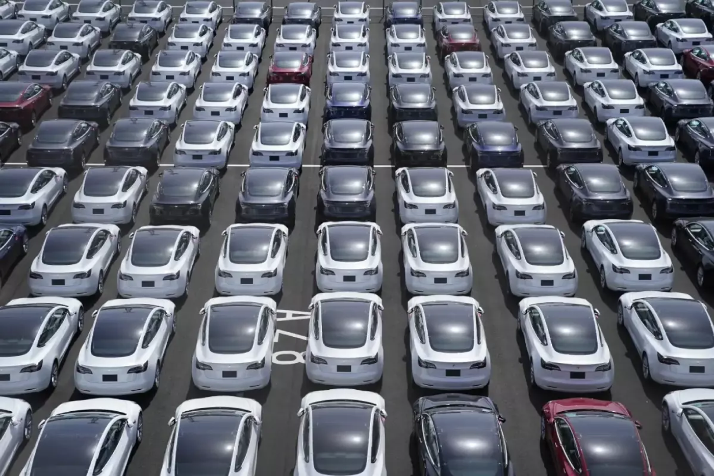 Tesla рискует потерять лидерство без выпуска бюджетного электромобиля