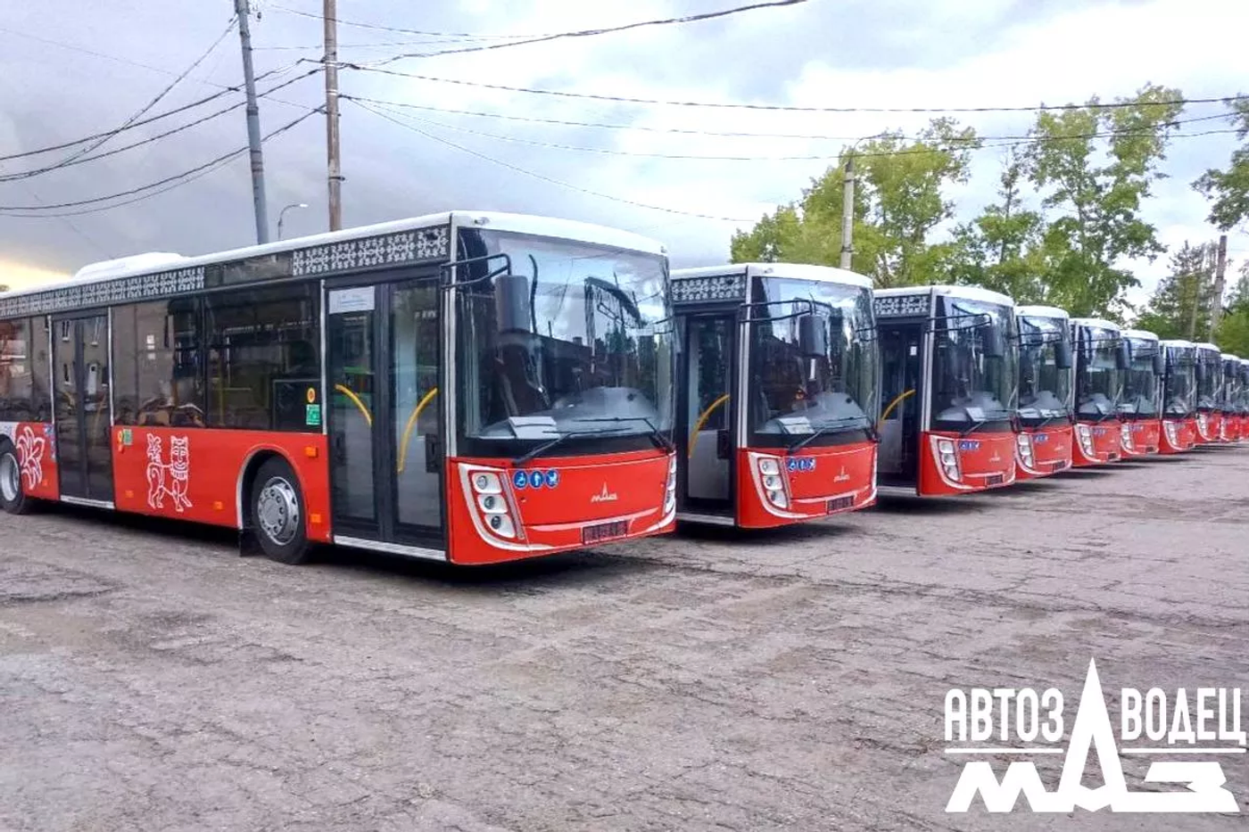 Новые автобусы МАЗ будут работать во Владимире