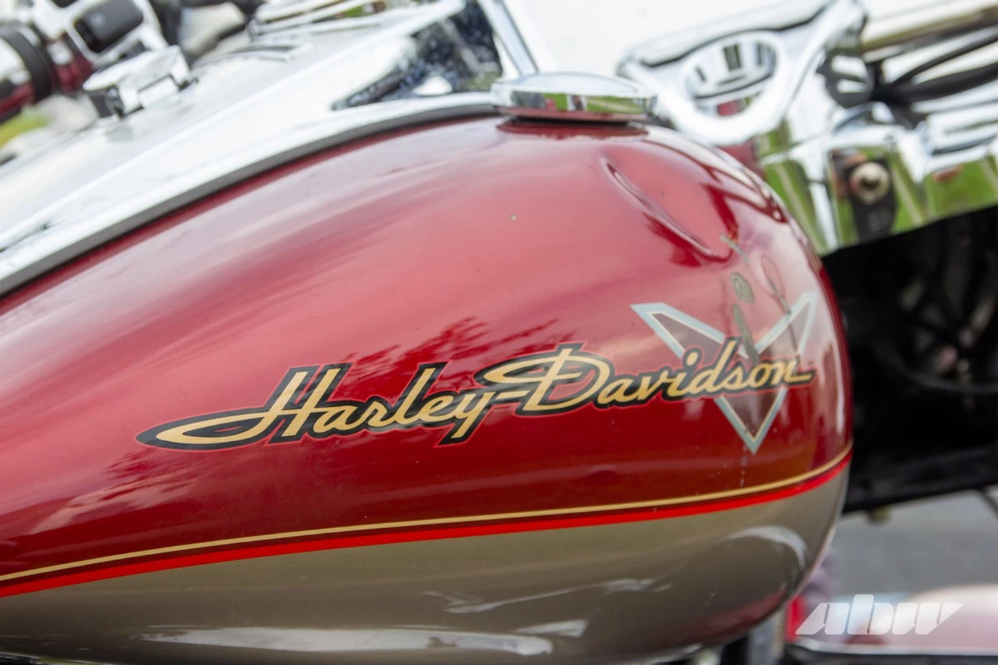 «Этот мотоцикл – большая мамочка»: история покупки Harley Davidson Road King из США