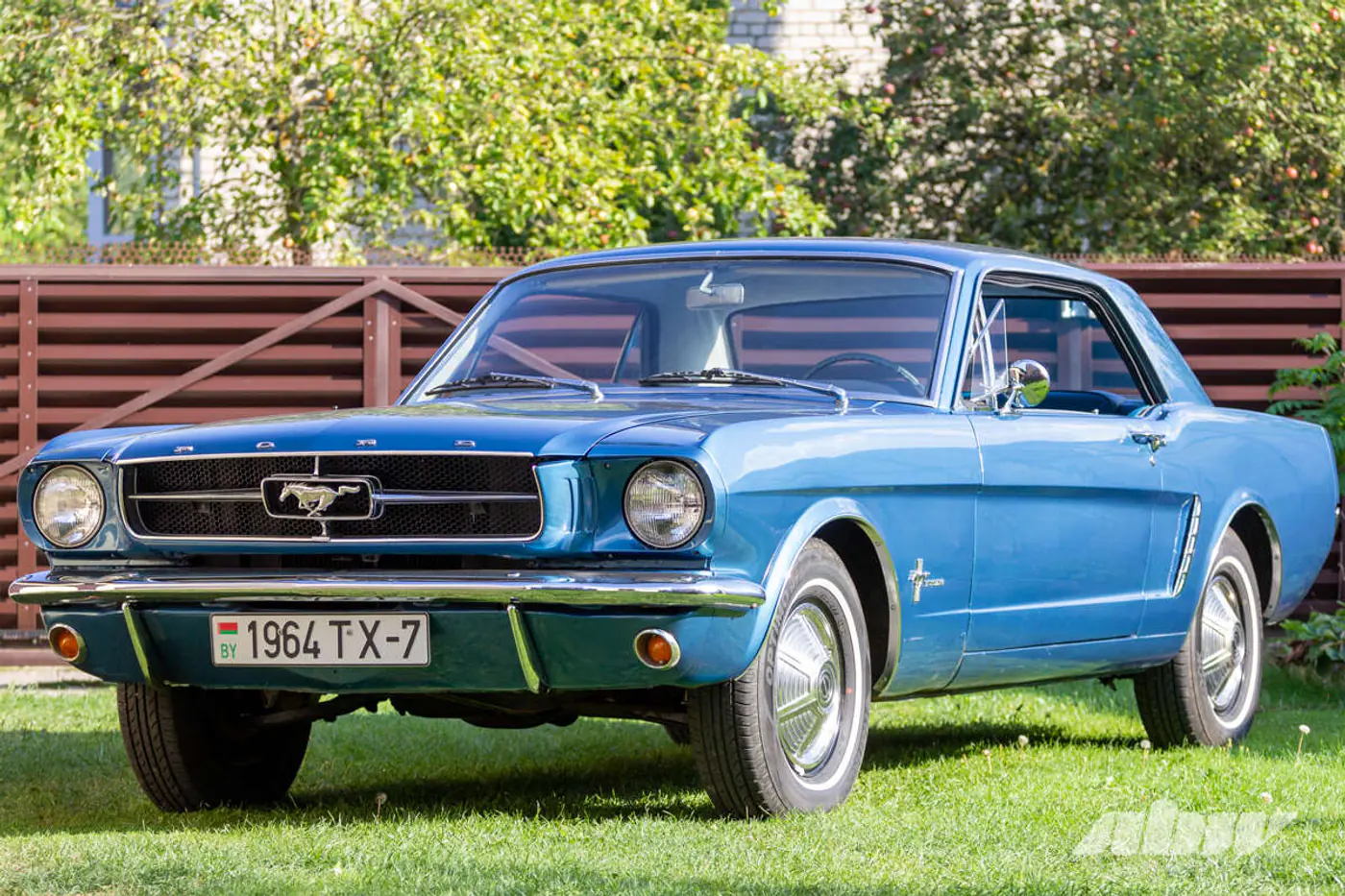 «Сам не знал, какое сокровище нашел»: как 60-летний Mustang 1/2 оказался в Беларуси