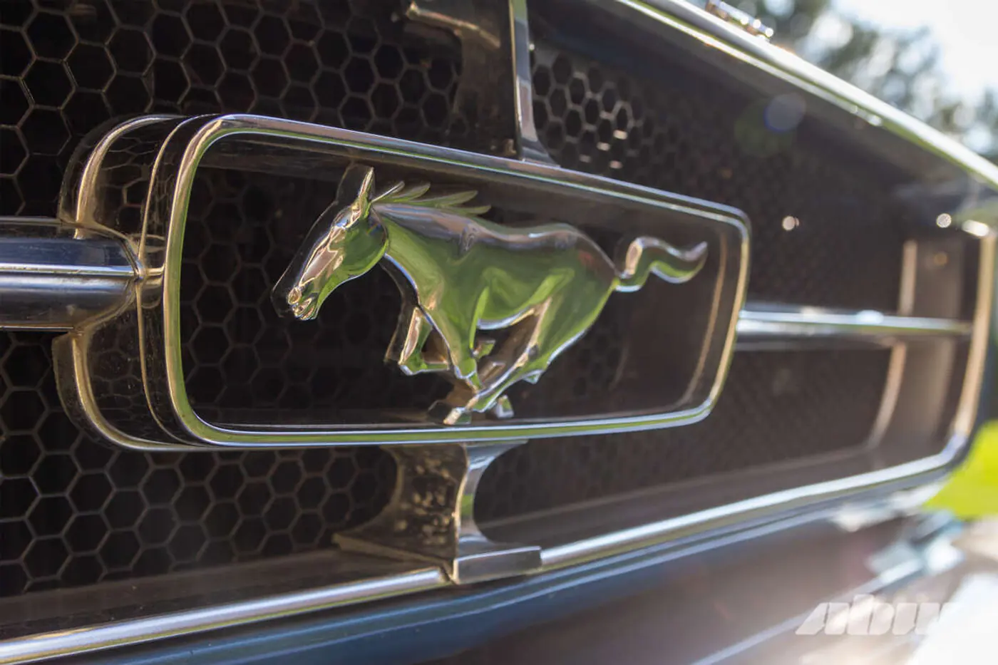 «Сам не знал, какое сокровище нашел»: как 60-летний Mustang 1/2 оказался в Беларуси