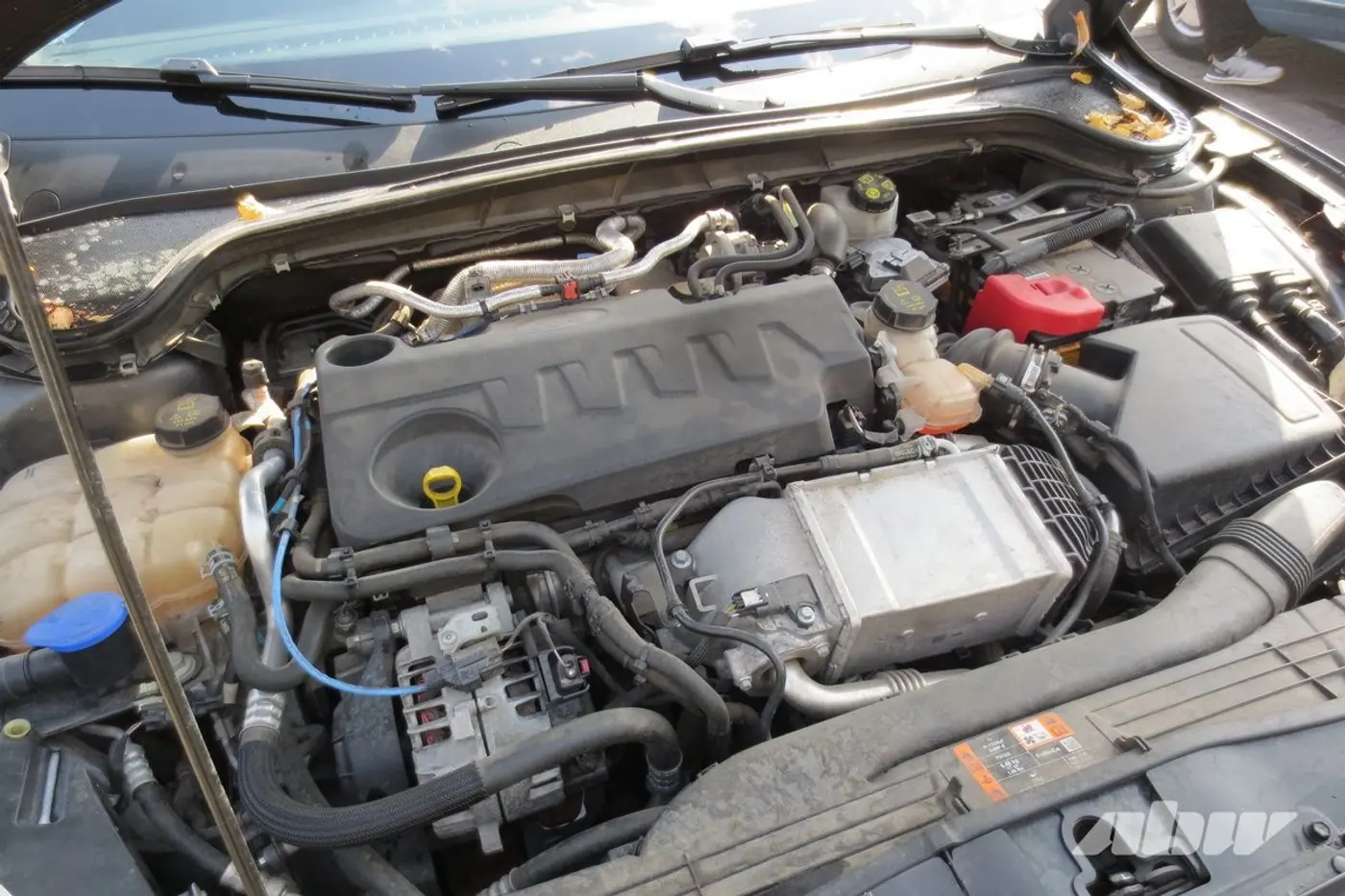 Ford_Focus_двигатель
