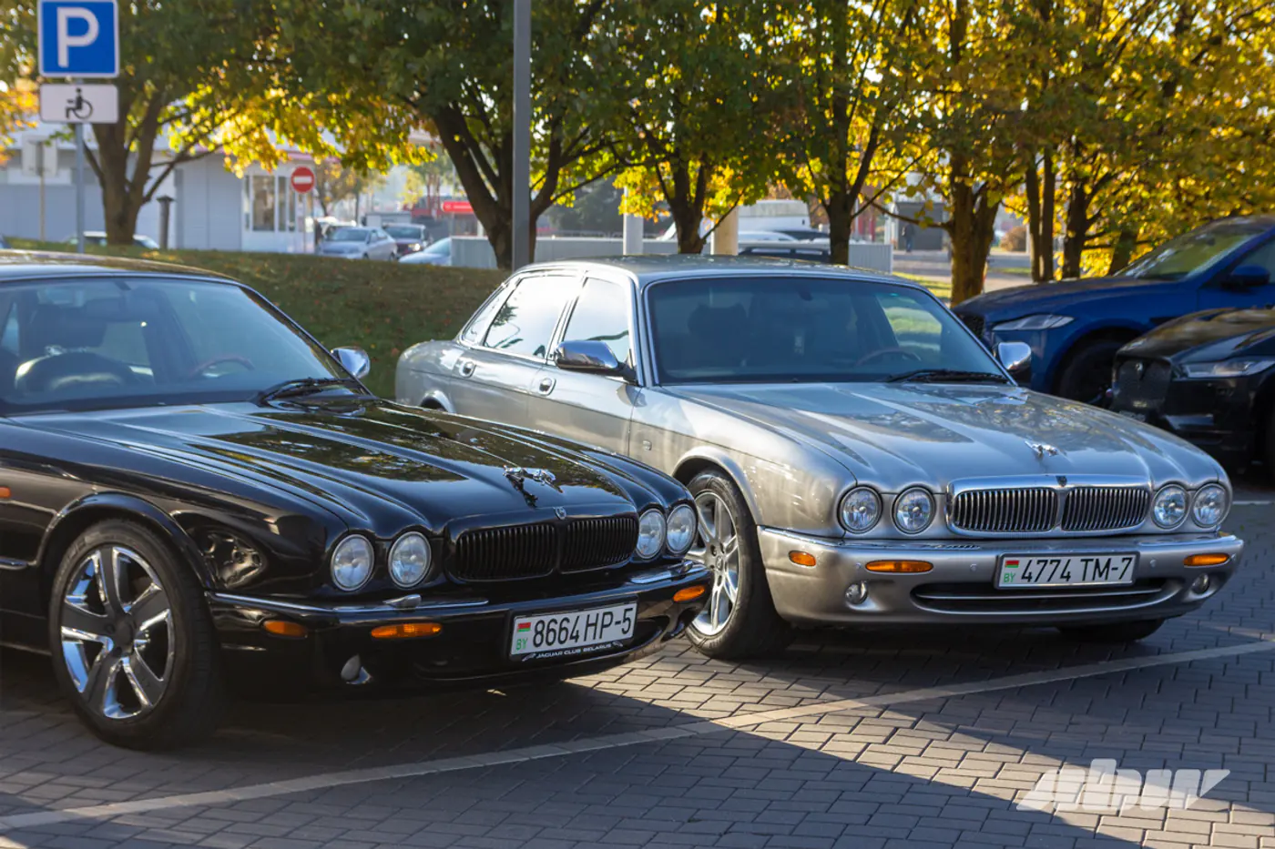 «Китайца» починить сложнее: Jaguar-клуб отпраздновал 10-летие и рассказал про свои авто