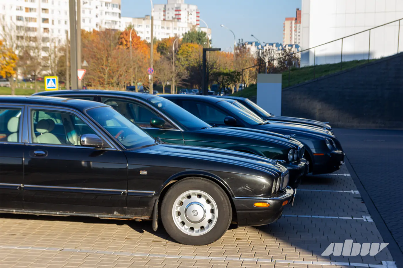 «Китайца» починить сложнее: Jaguar-клуб отпраздновал 10-летие и рассказал про свои авто