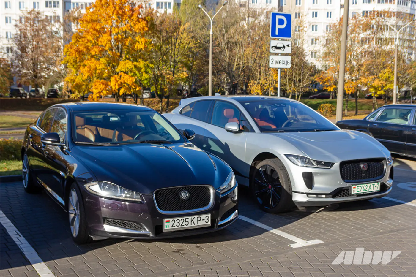 «Китайца» починить сложнее: Jaguar-клуб отпраздновал 10-летие и рассказал про свои авто