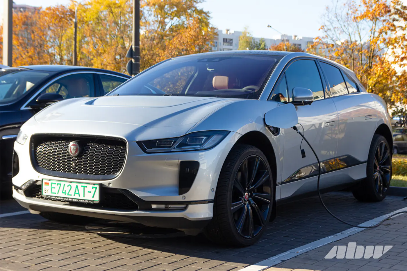 «Китайца» починить сложнее: Jaguar-клуб отпраздновал 10-летие и рассказал про свои авто