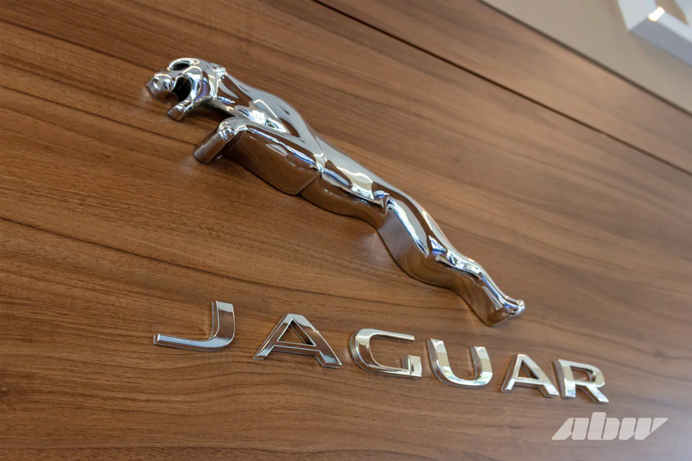 «Китайца» починить сложнее: Jaguar-клуб отпраздновал 10-летие и рассказал про свои авто