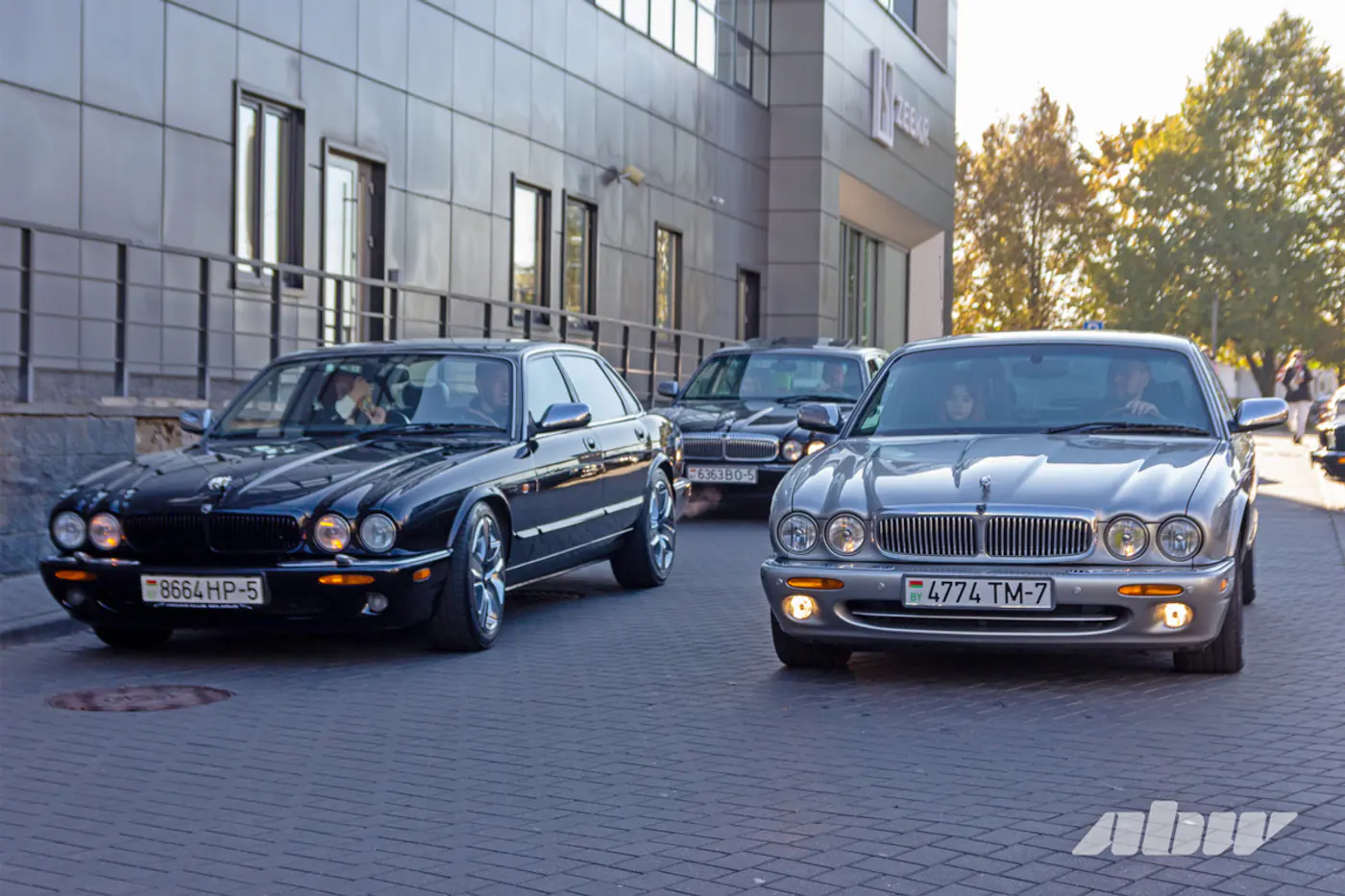«Китайца» починить сложнее: Jaguar-клуб отпраздновал 10-летие и рассказал про свои авто