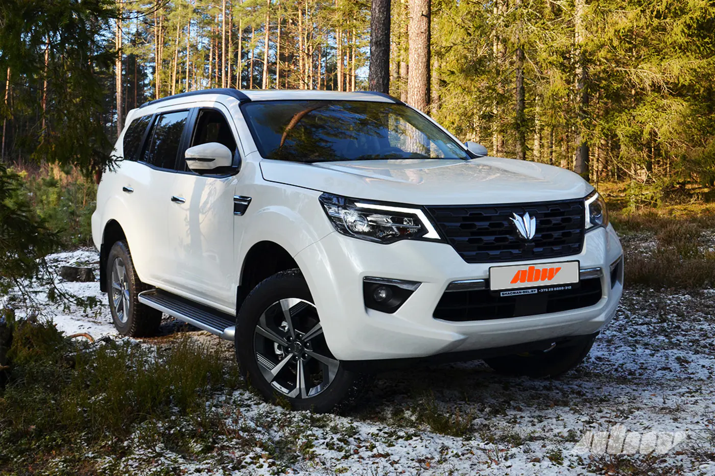 Oting Paladin: почти Nissan, но в другой обертке