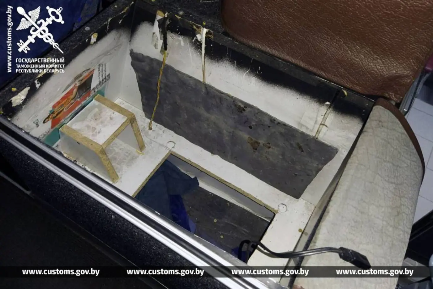 Питоны ехали в рейсовом автобусе из Польши в Беларусь