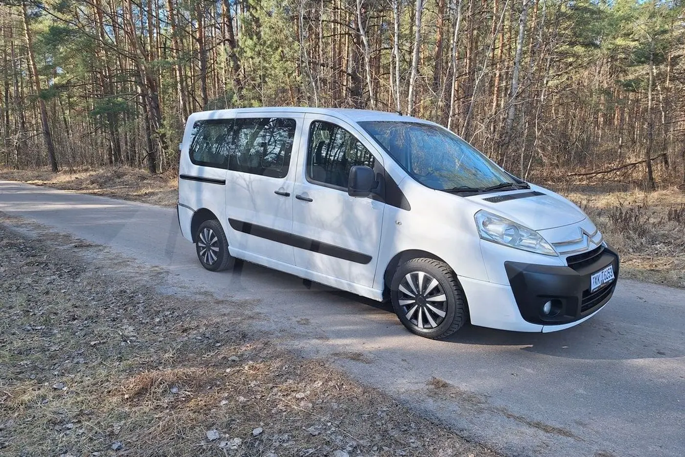 «Без пробега по РБ»: смотрим минивэны до $15 000