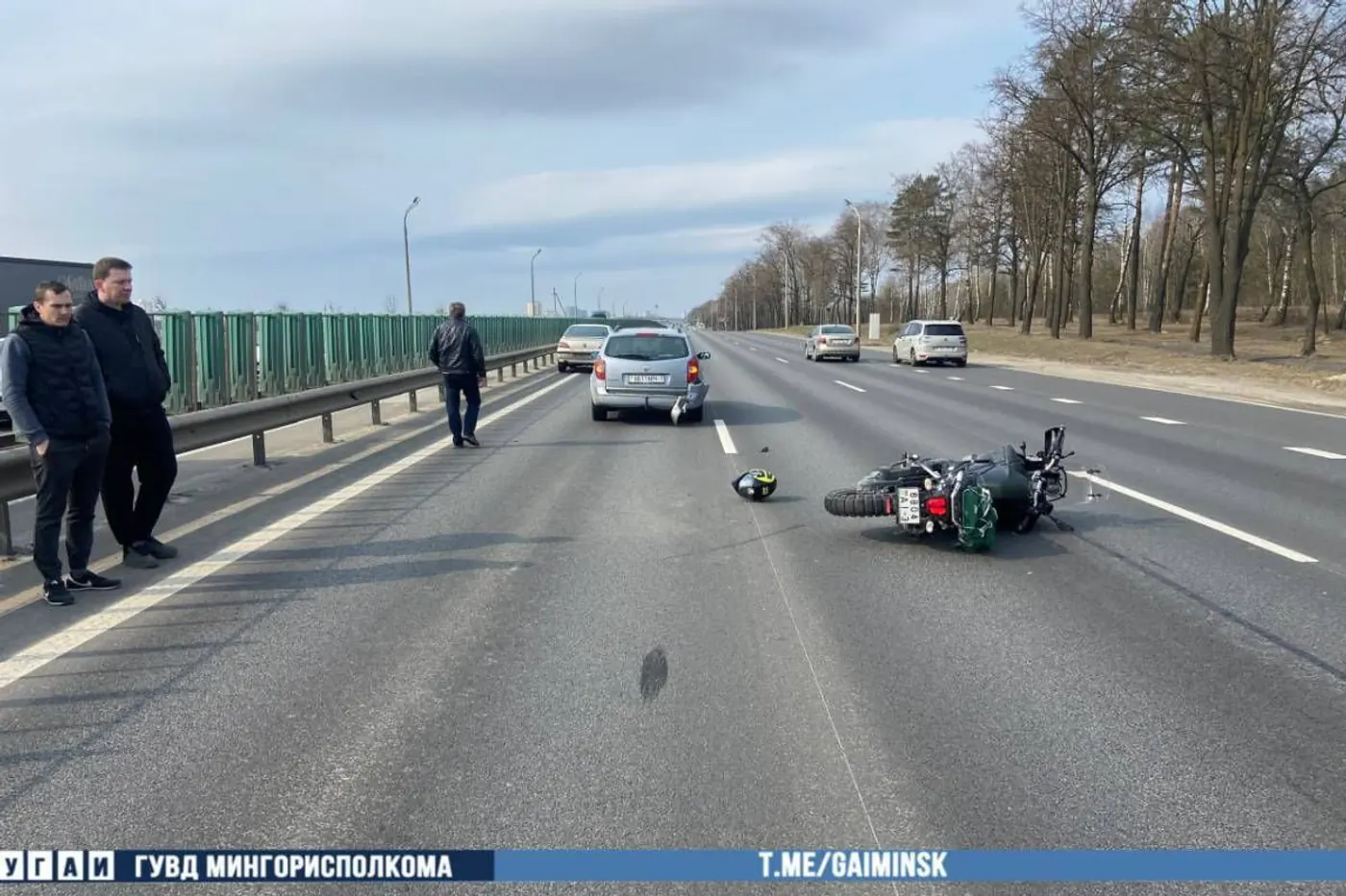 Собака спровоцировала аварию мотоцикла и автомобиля в Минске