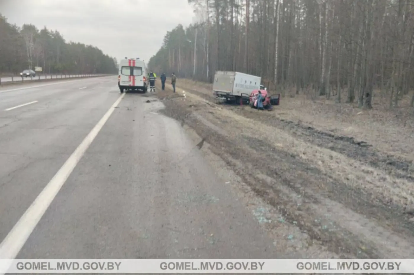 На трассе М10 грузовик врезался в легковушку с ребенком. Водитель уснул?