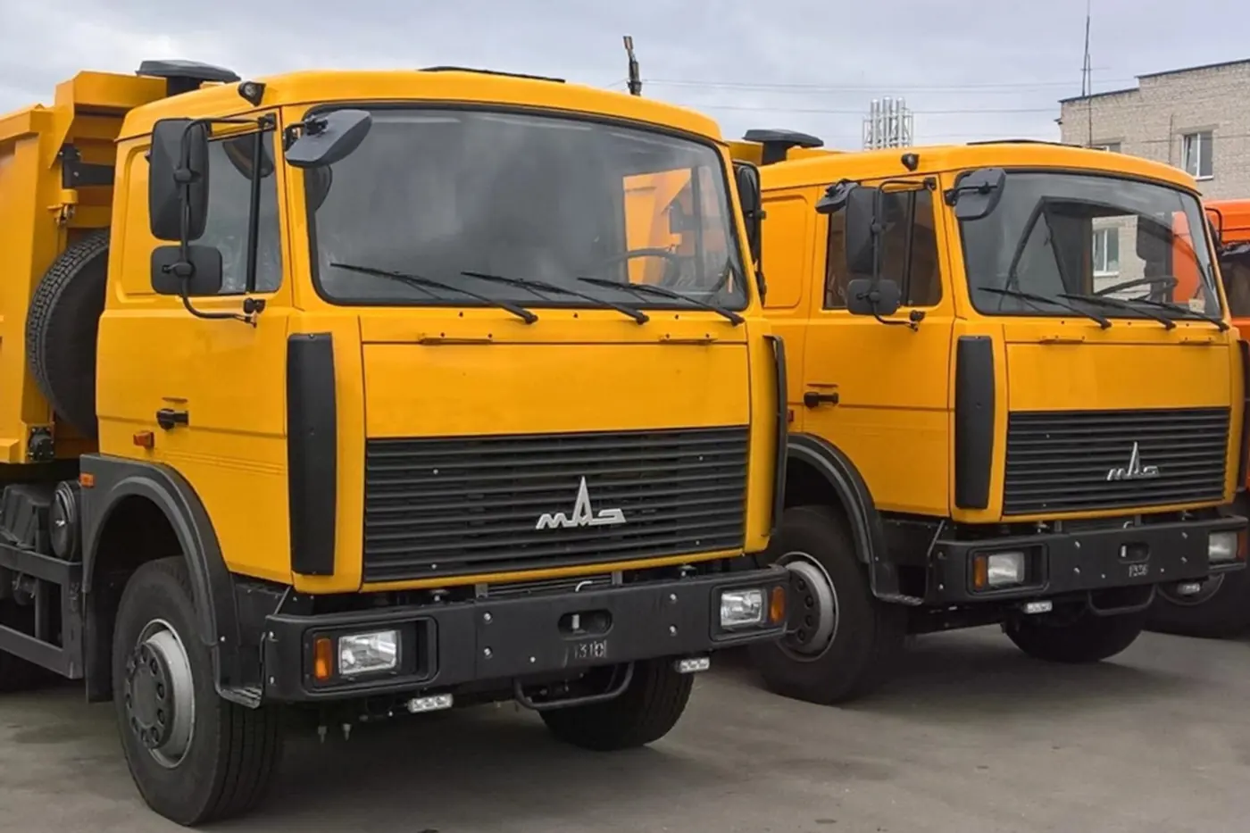 МАЗ вошел в топ-3 продаж тяжелых грузовиков в России