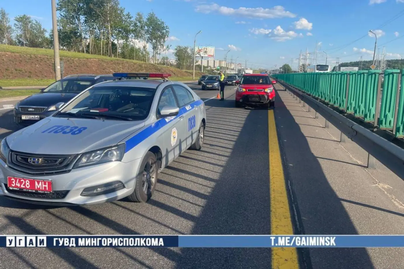 На МКАД выбежала косуля и попала под колеса автомобиля