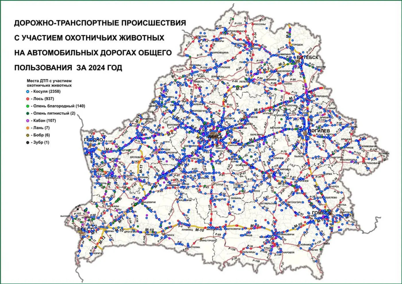 В Беларуси растет количество ДТП с дикими животными – где они случаются?
