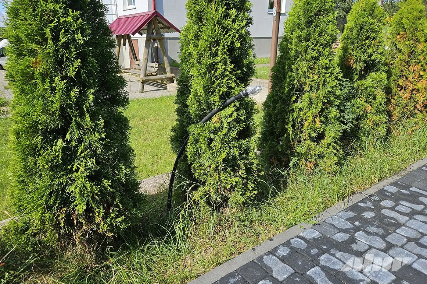 «Зарядка, крыша, слабые места и глюки»: что стоит знать перед покупкой электромобиля народной марки BYD