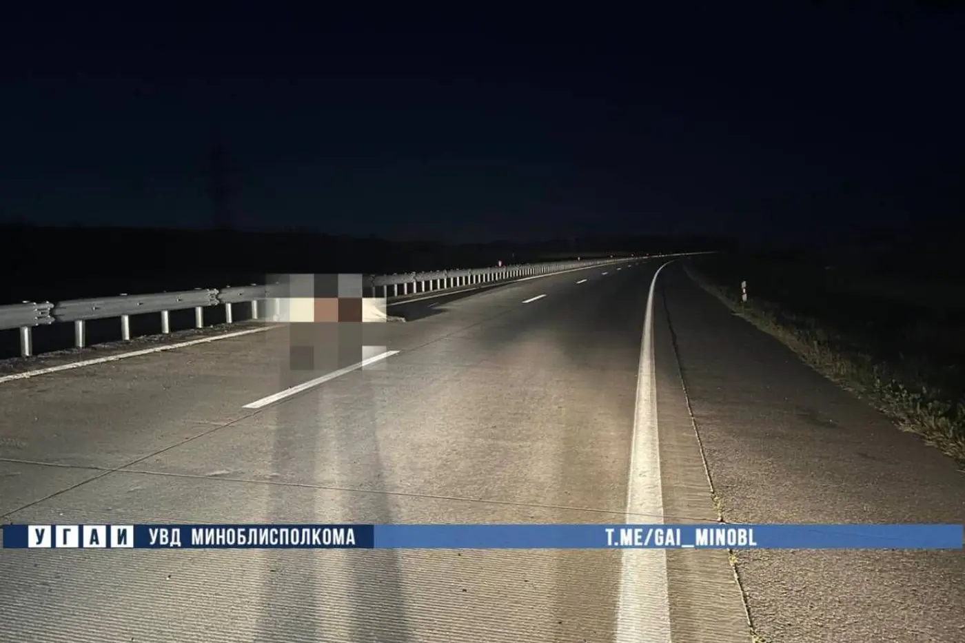 На второй кольцевой микроавтобус перевернулся после наезда на лося