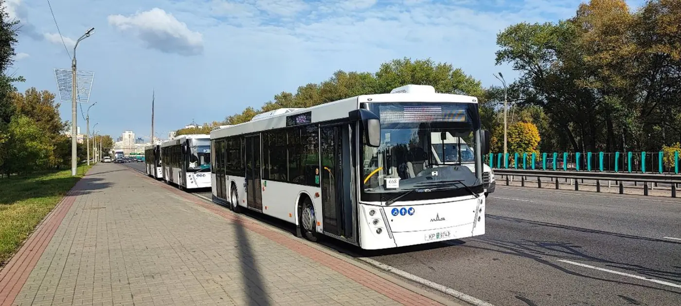 Новые автобусы МАЗ поступили в Брестскую и Витебскую области