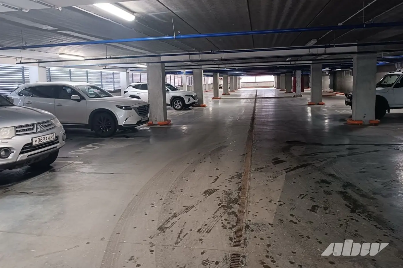 Как мы ездили в Россию на поиски машин из автосалона «Авалон Авто». Нашли?
