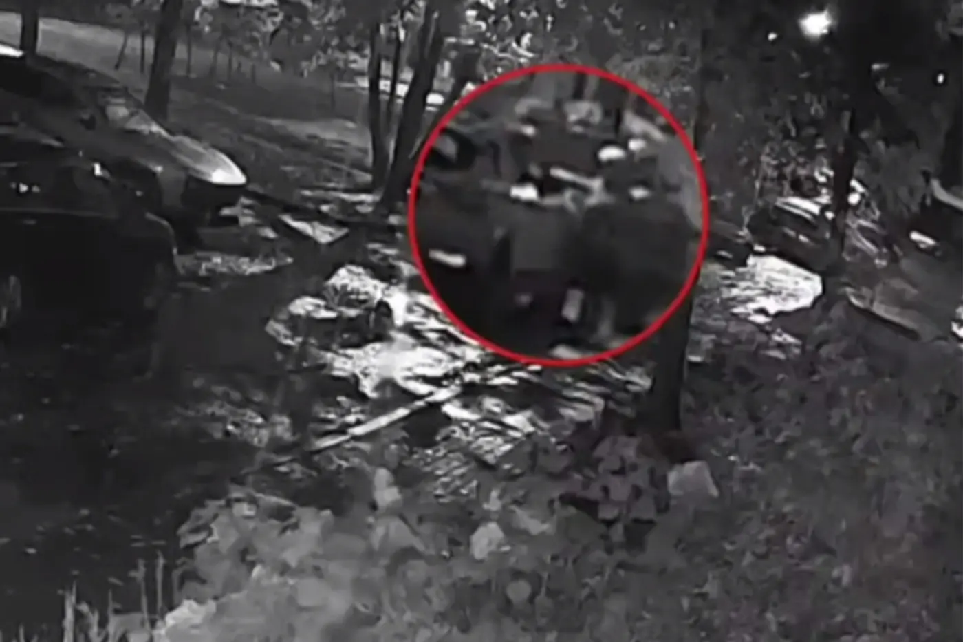 В Витебске пенсионерка намеренно царапала чужое авто – видео