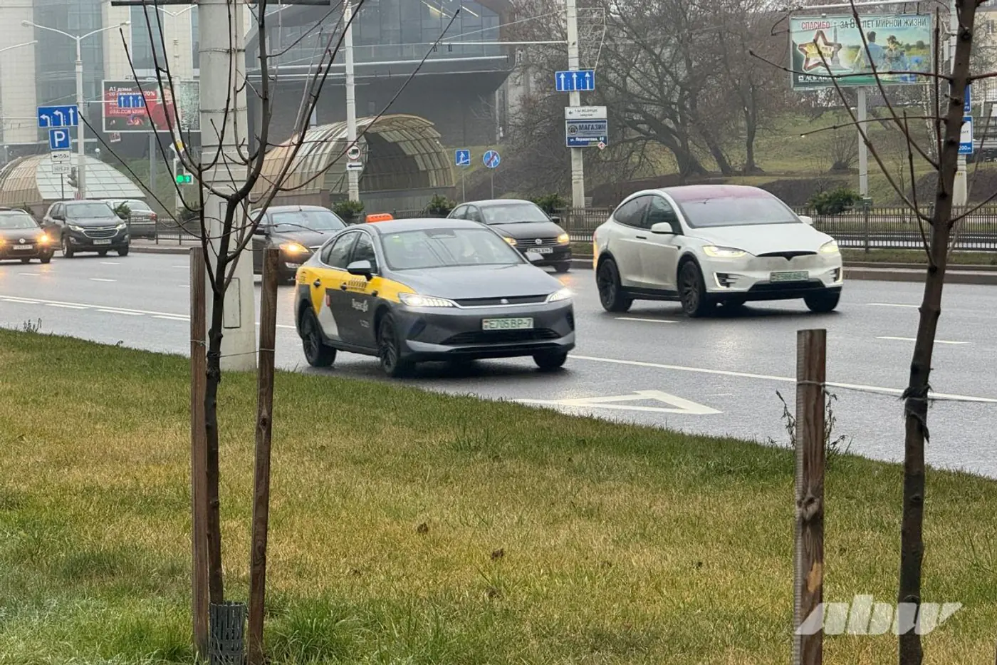 Прикинуться «электричкой»: полоса общественного транспорта глазами участников дорожного движения