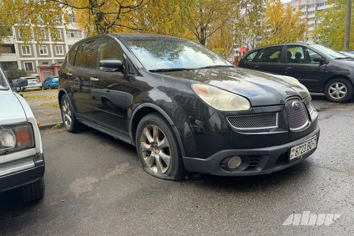 Заброшенные автомобили в Сухарево: проверили, что изменилось за два месяца