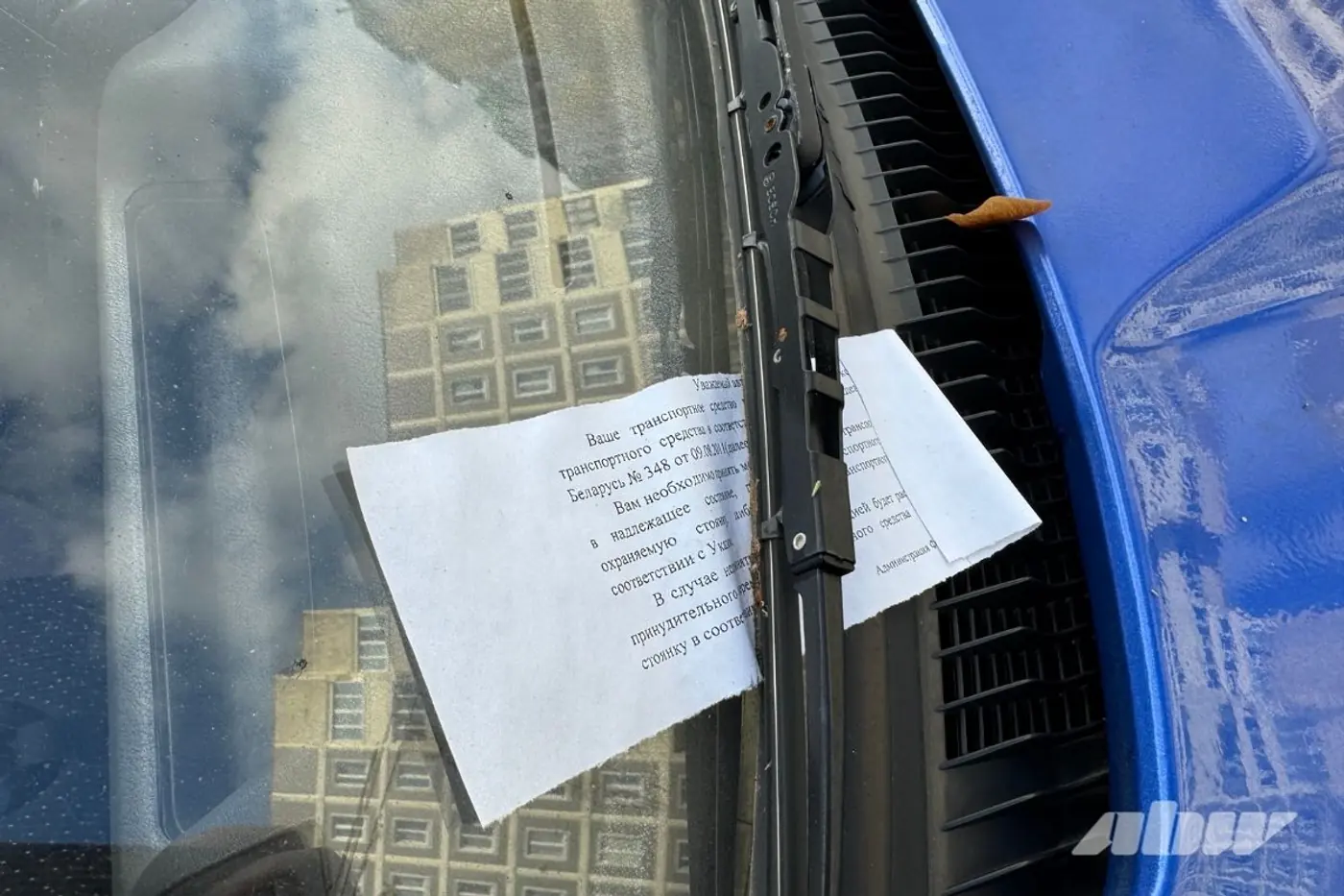 Заброшенные автомобили в Сухарево: проверили, что изменилось за два месяца