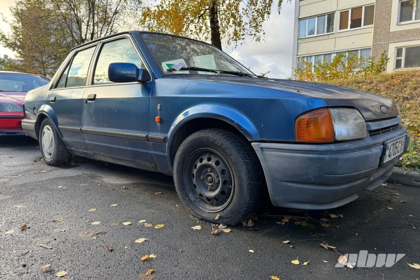 Заброшенные автомобили в Сухарево: проверили, что изменилось за два месяца