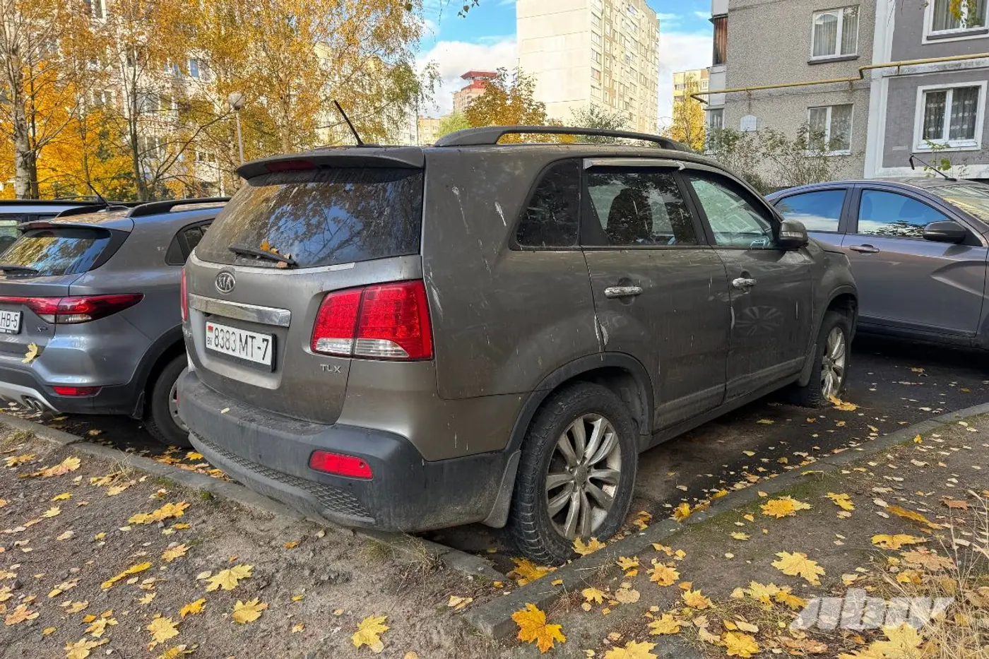 Заброшенные автомобили в Сухарево: проверили, что изменилось за два месяца