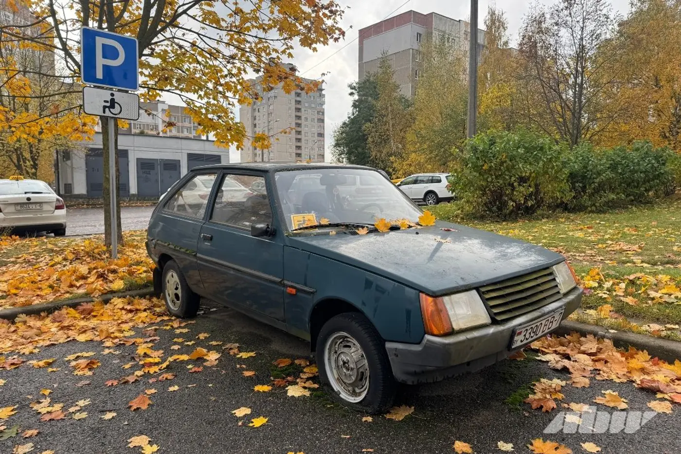 Заброшенные автомобили в Сухарево: проверили, что изменилось за два месяца