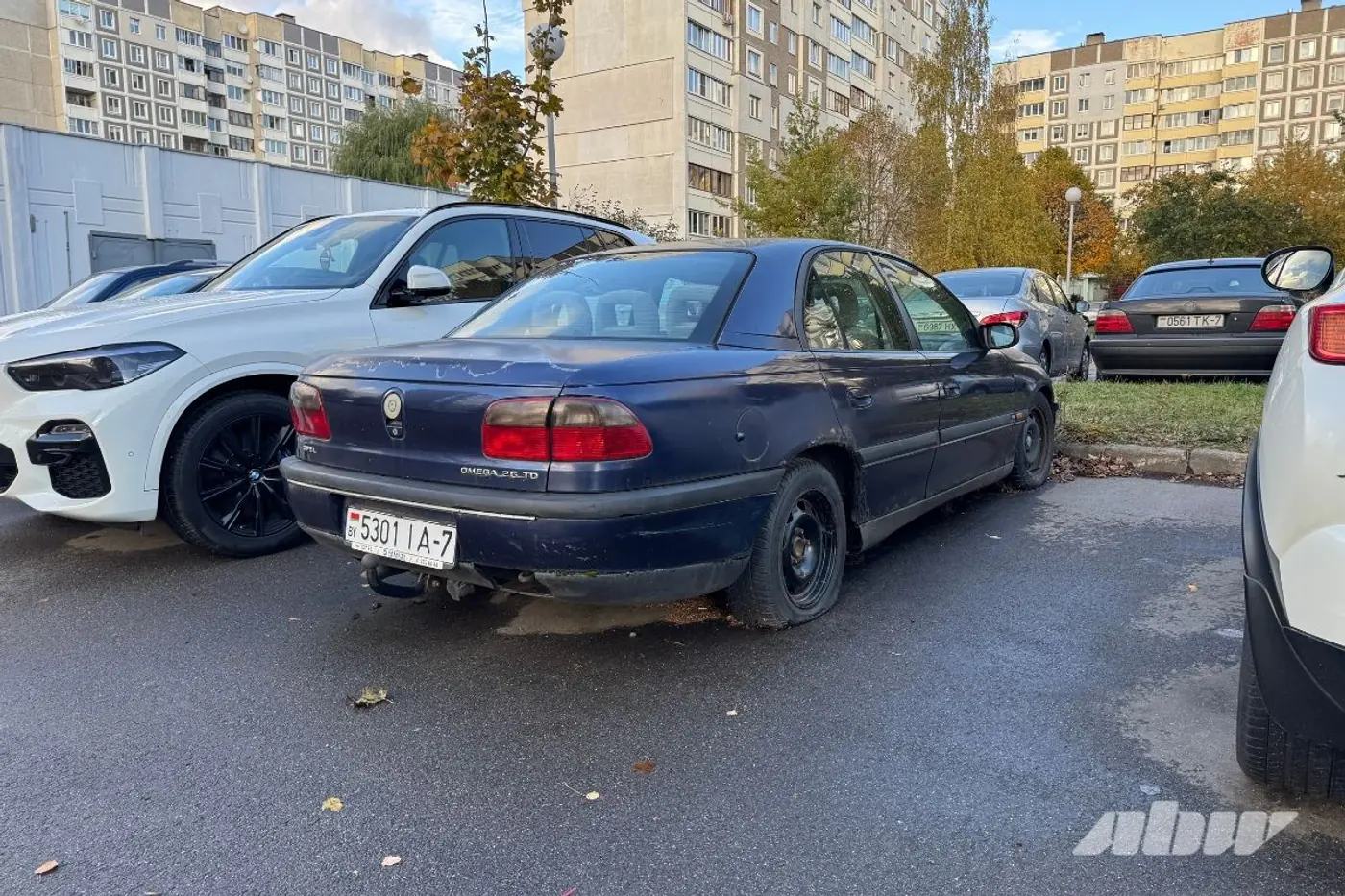 Заброшенные автомобили в Сухарево: проверили, что изменилось за два месяца