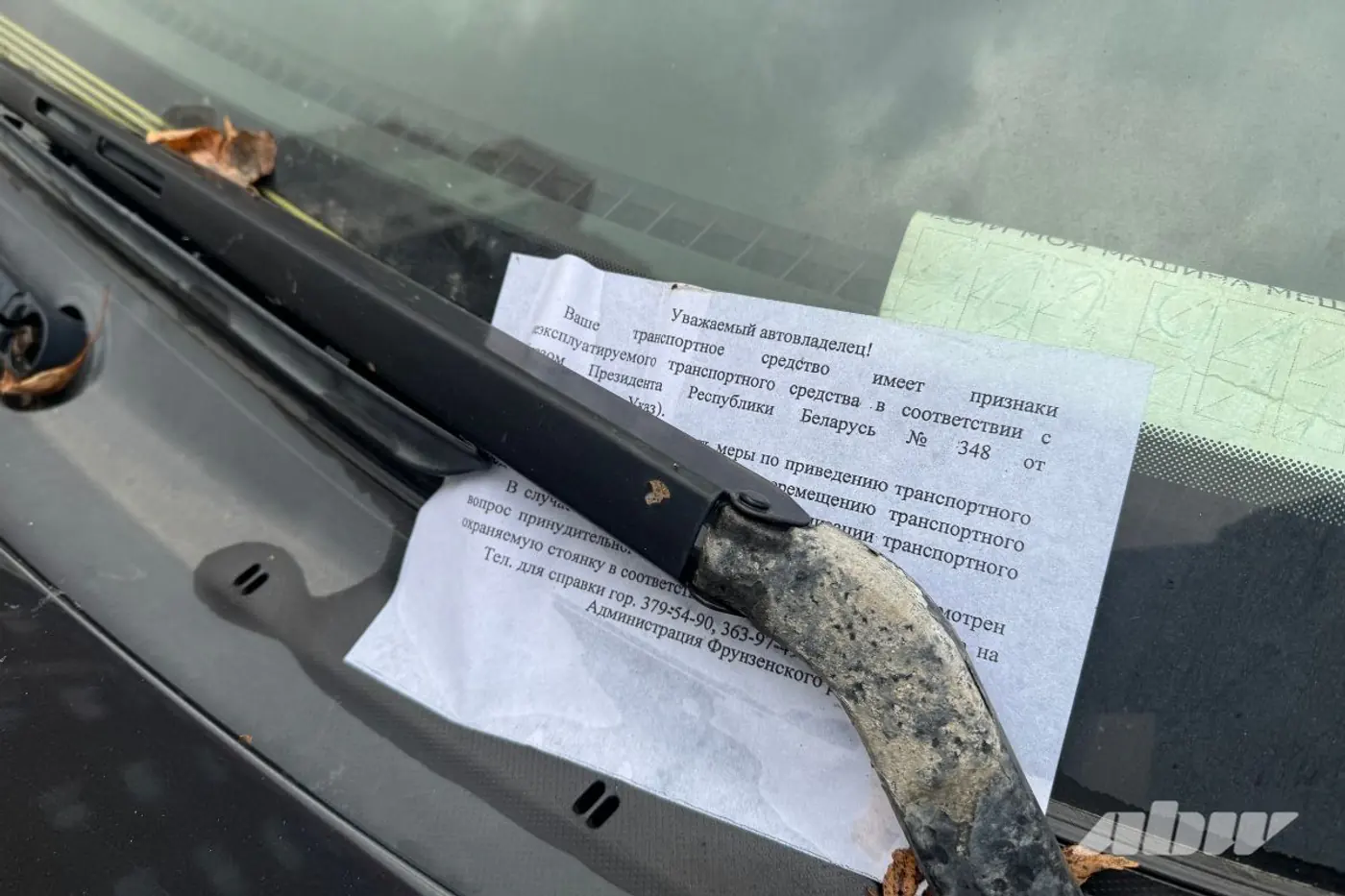 Заброшенные автомобили в Сухарево: проверили, что изменилось за два месяца