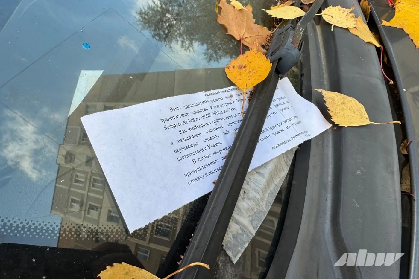 Заброшенные автомобили в Сухарево: проверили, что изменилось за два месяца