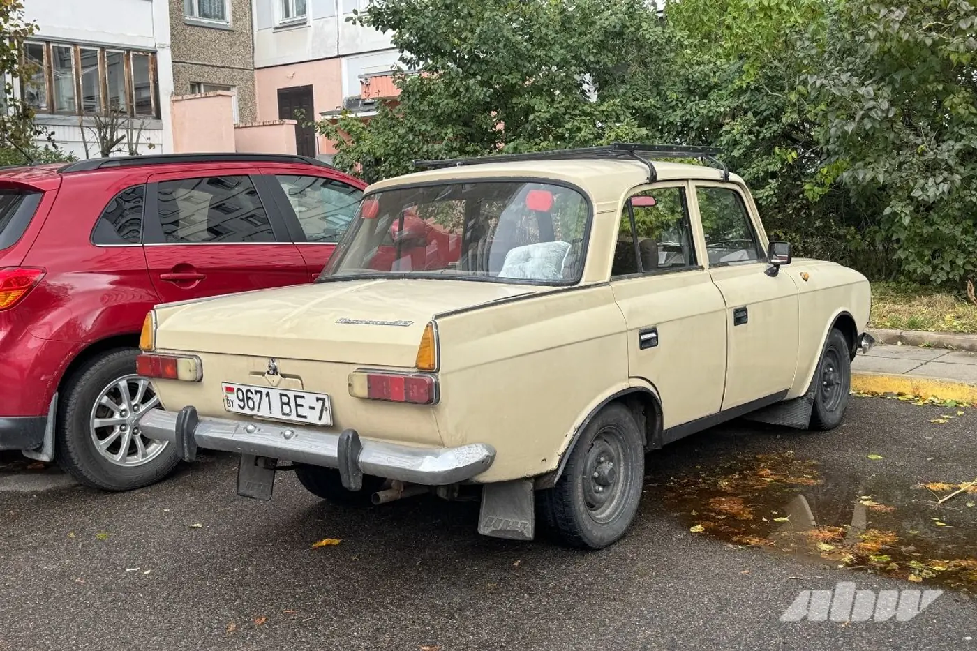 Заброшенные автомобили в Сухарево: проверили, что изменилось за два месяца