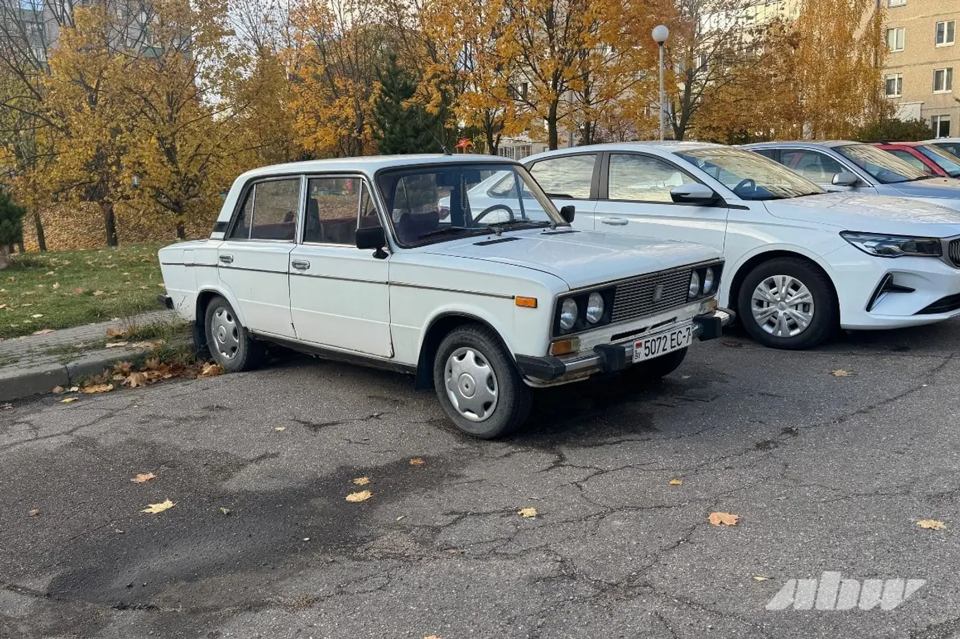 Заброшенные автомобили в Сухарево: проверили, что изменилось за два месяца