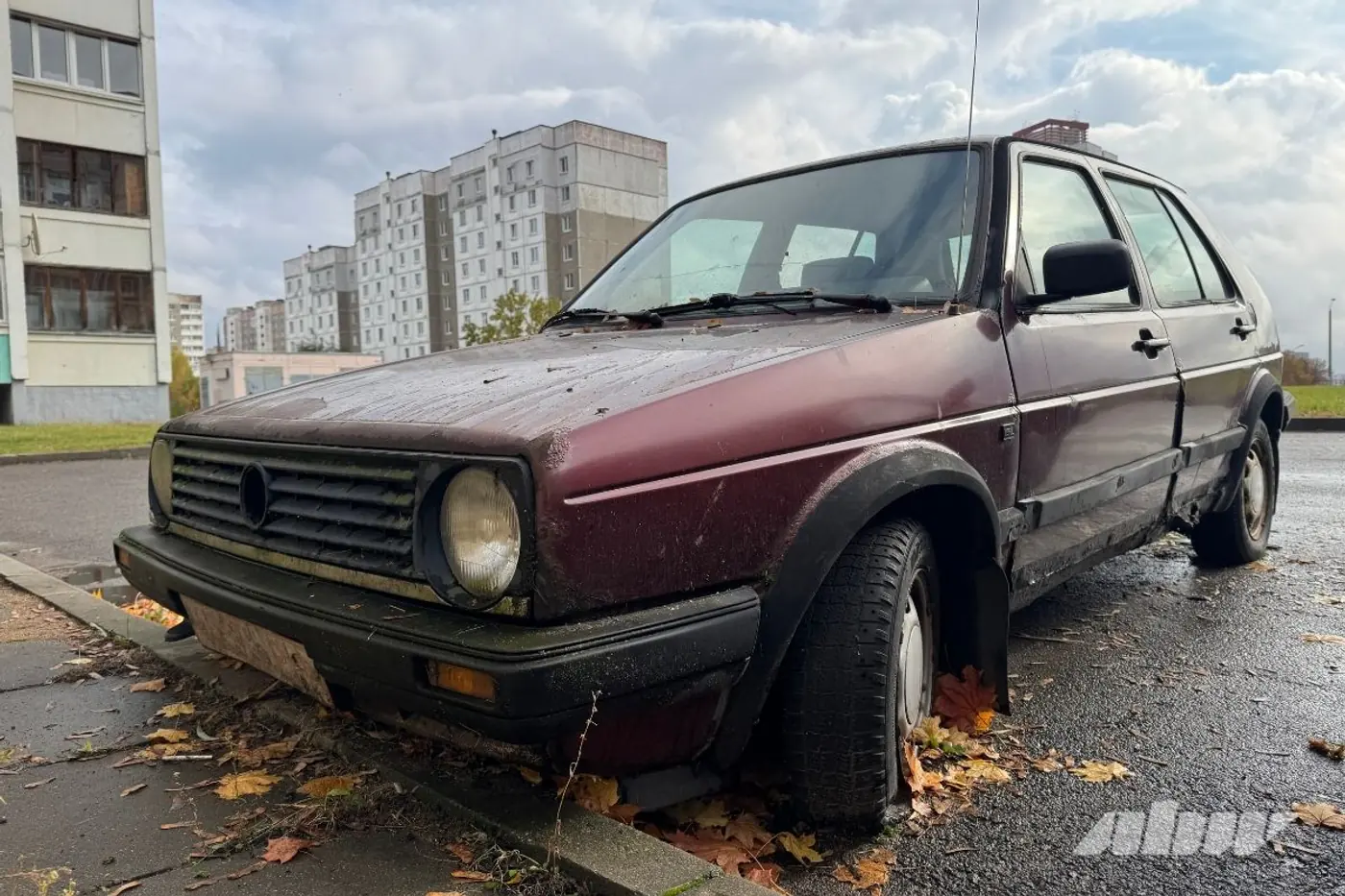 Заброшенные автомобили в Сухарево: проверили, что изменилось за два месяца
