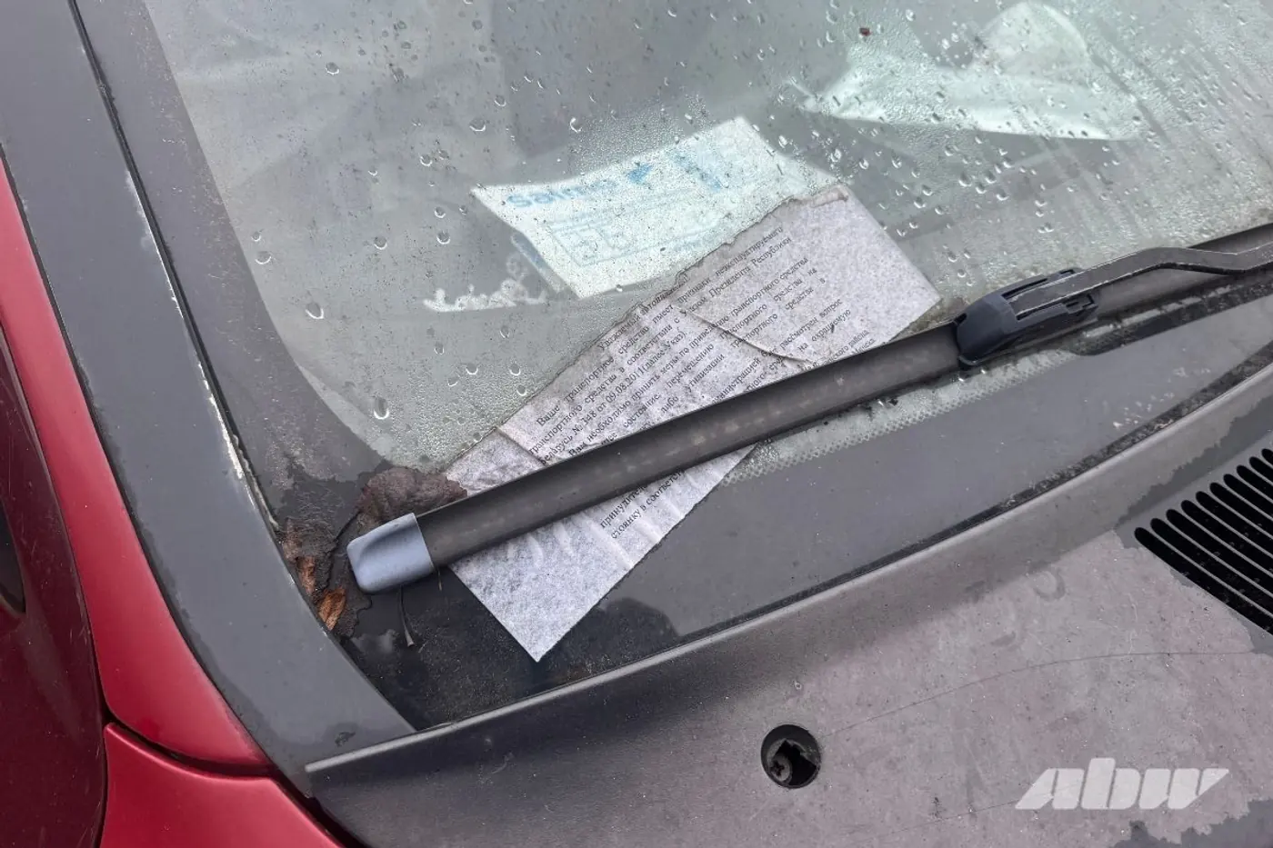 Заброшенные автомобили в Сухарево: проверили, что изменилось за два месяца