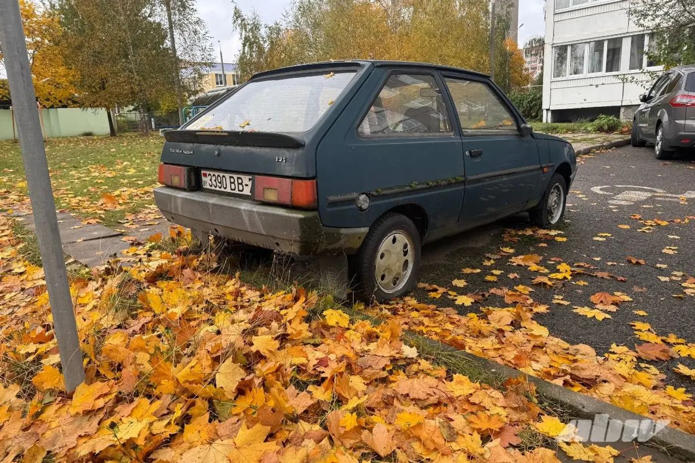 Заброшенные автомобили в Сухарево: проверили, что изменилось за два месяца