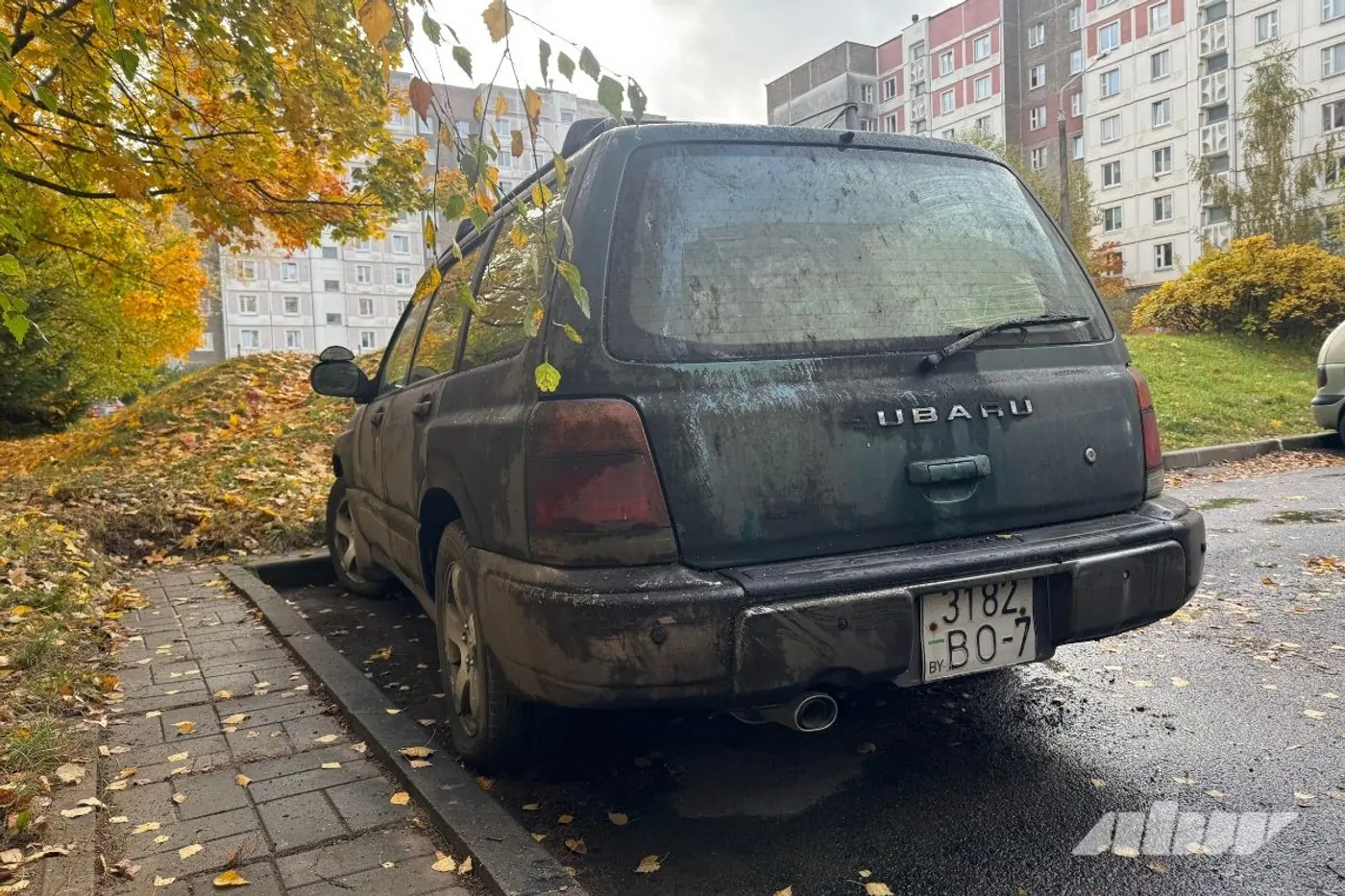 Заброшенные автомобили в Сухарево: проверили, что изменилось за два месяца